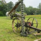 Landwirtschaft heute im Bergischen:)