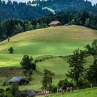 Landwirtschaft im Emmental