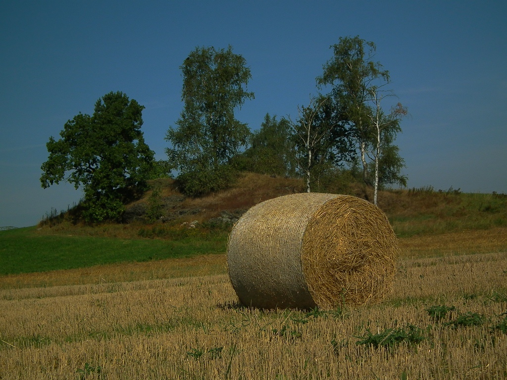 Landwirtschaft im Erzgebirge