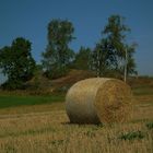 Landwirtschaft im Erzgebirge