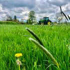 Landwirtschaft im Fokus