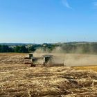 Landwirtschaft im Fokus