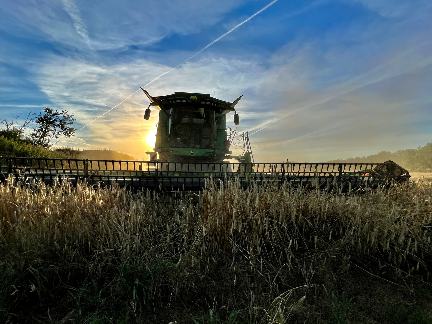 Landwirtschaft im Fokus