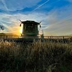 Landwirtschaft im Fokus