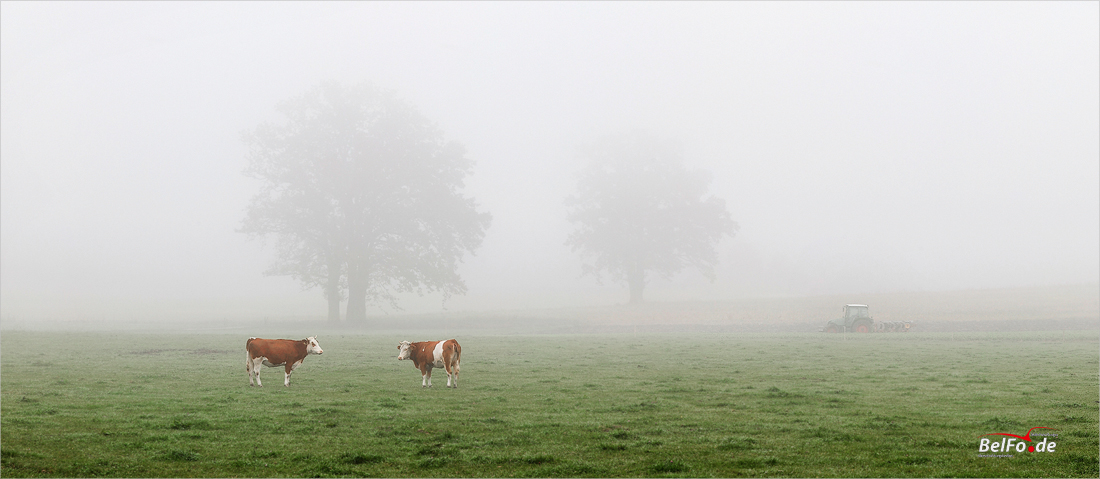 Landwirtschaft im Herbst