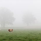 Landwirtschaft im Herbst