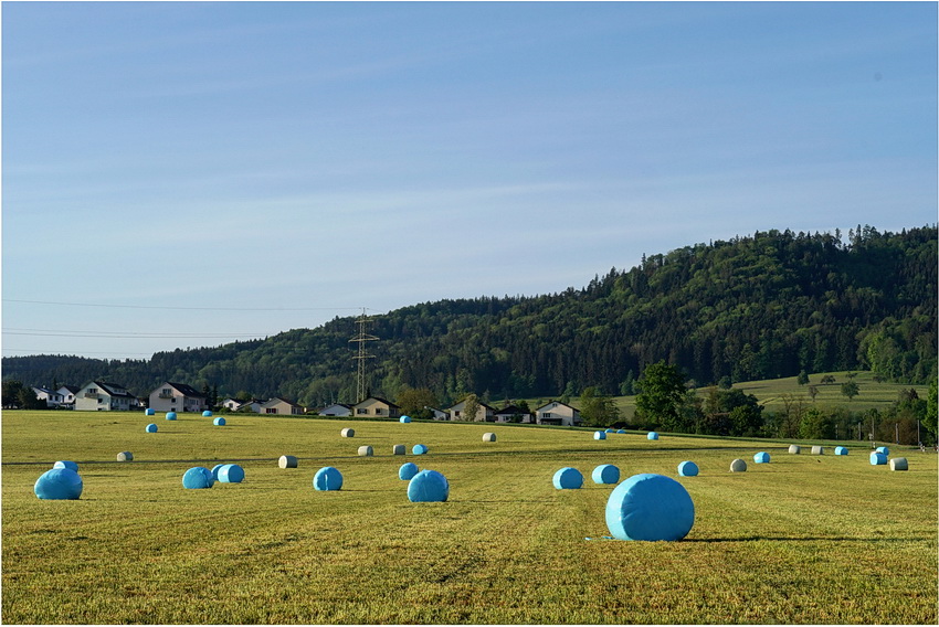 Land(wirt)schaft im Mai