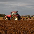 Landwirtschaft im Oktober