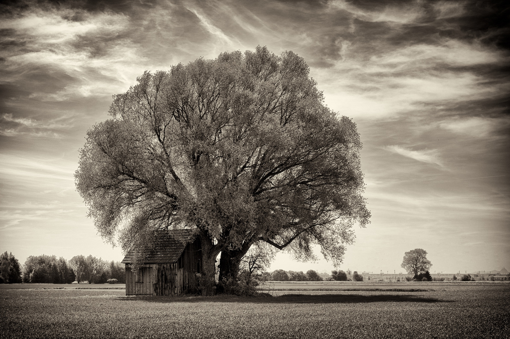 Landwirtschaft im Schatten der Natur