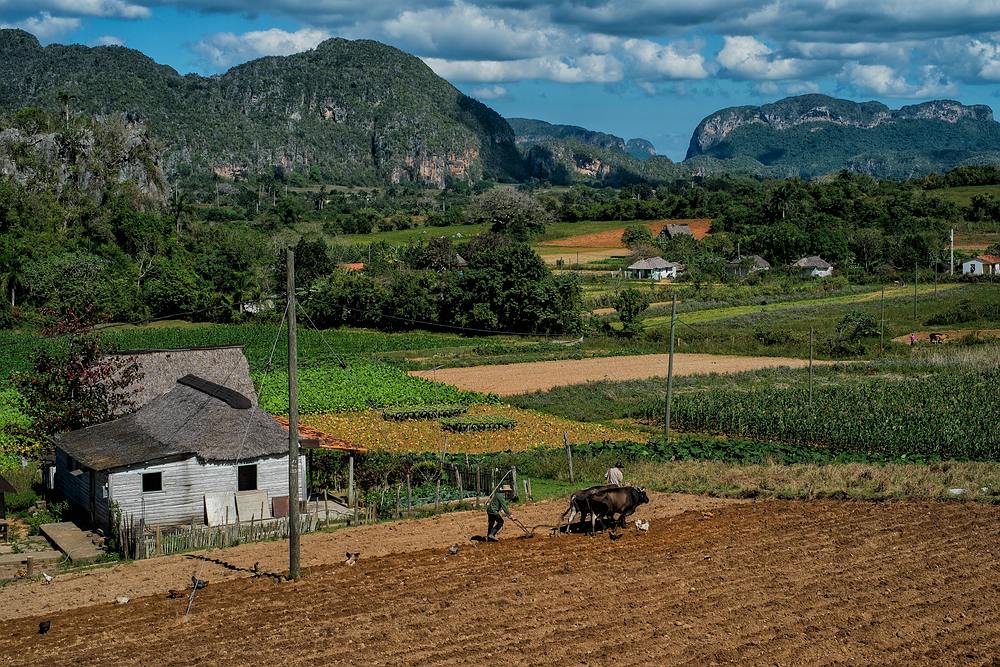 Videos de motos, pruebas, fichas, opiniones, competición, motogp y consejos para el uso y mantenimiento de motos Vinales Tal . Landwirtschaft im Vinales Tal Foto & Bild | north america ...