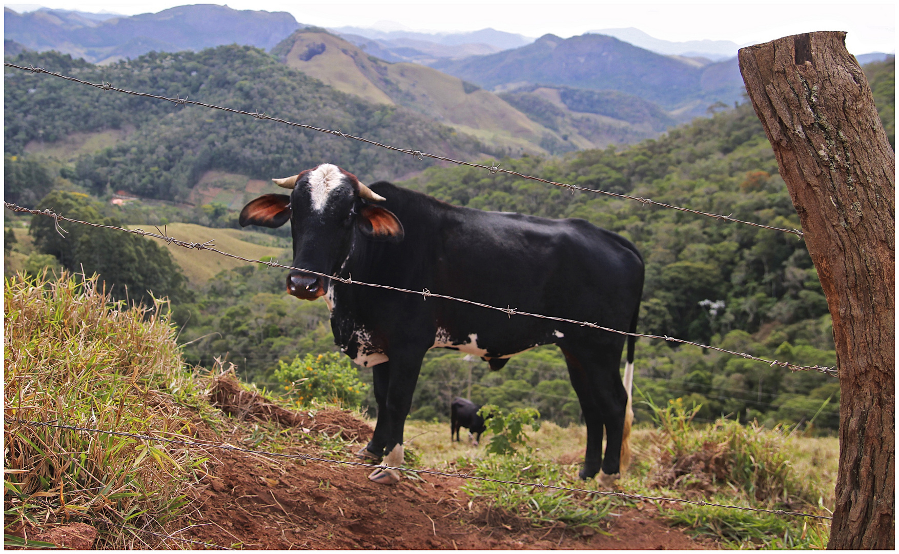  Landwirtschaft in Brasilien 