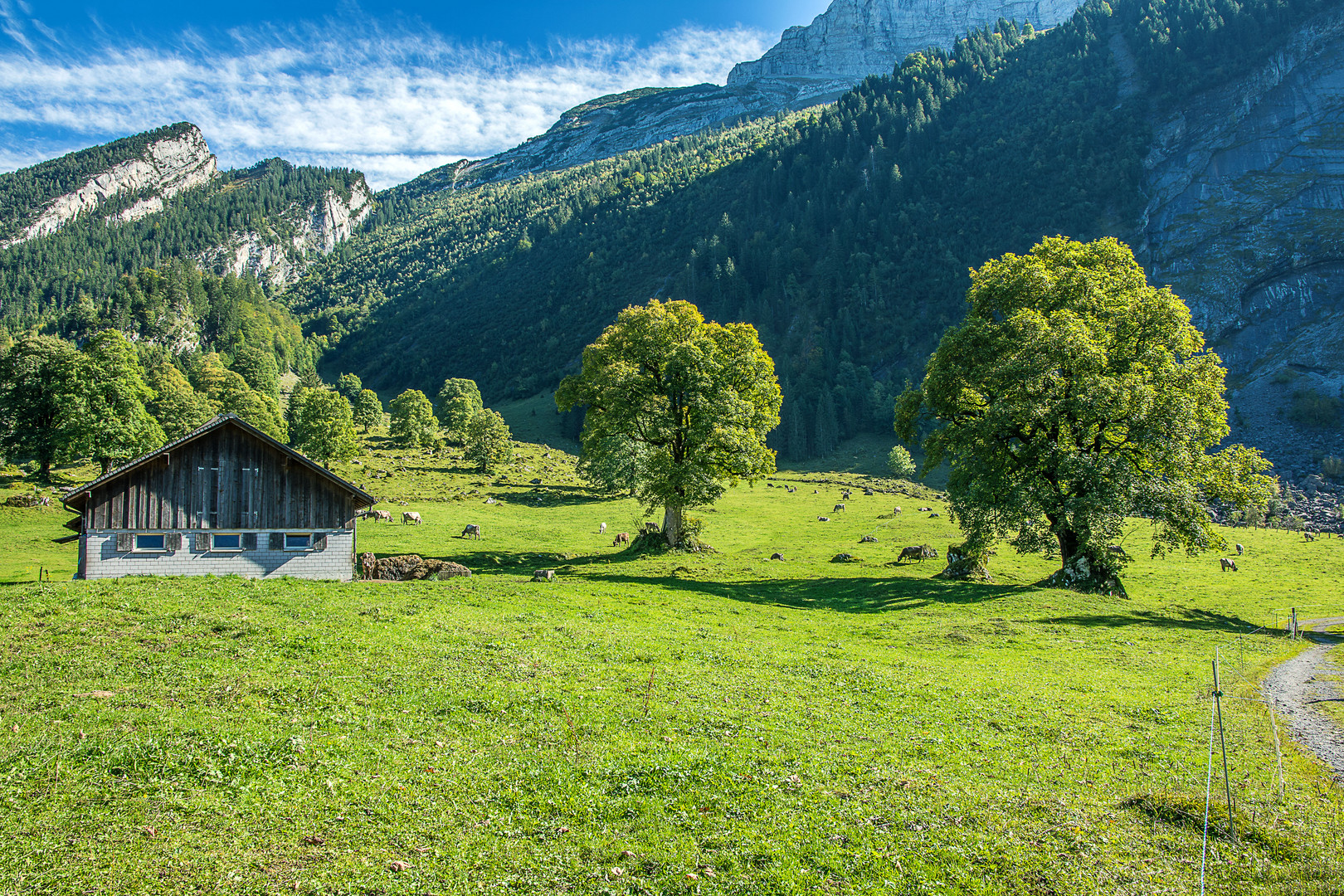  Landwirtschaft in den Bergen