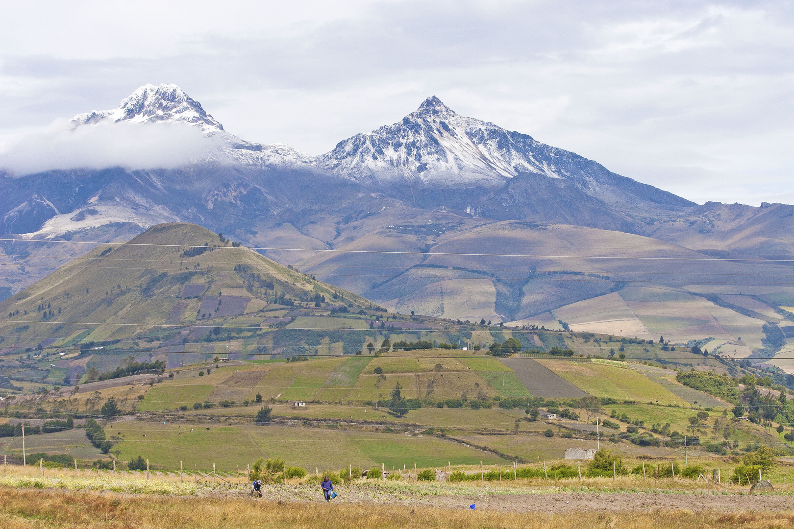 Landwirtschaft in Ecuador