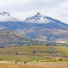 Landwirtschaft in Ecuador