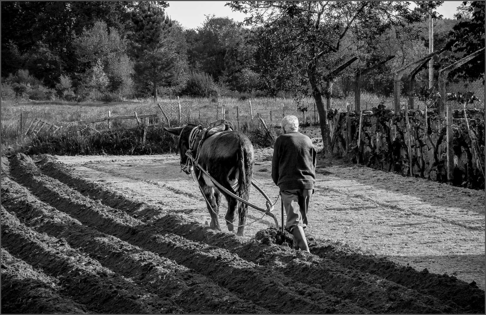 Landwirtschaft in Galicien (E) wie vor Tausende Jahren