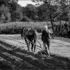 Landwirtschaft in Galicien (E) wie vor Tausende Jahren