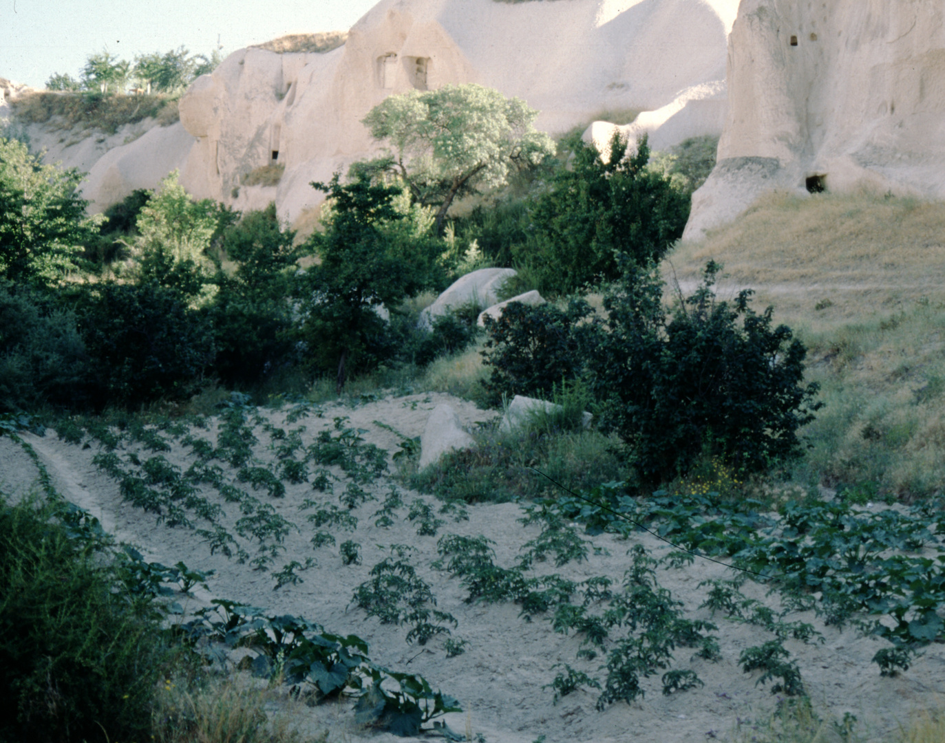 Landwirtschaft in Kapadokien