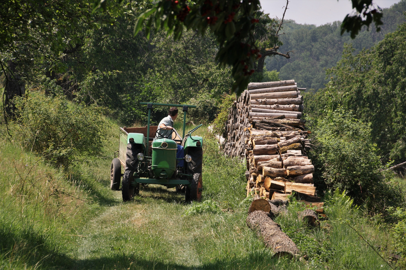 Landwirtschaft in Langenroda