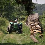 Landwirtschaft in Langenroda