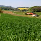 Landwirtschaft in Lippe