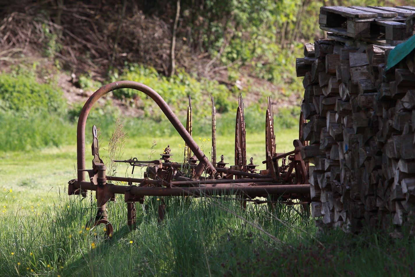 Landwirtschaft in Unteressendorf