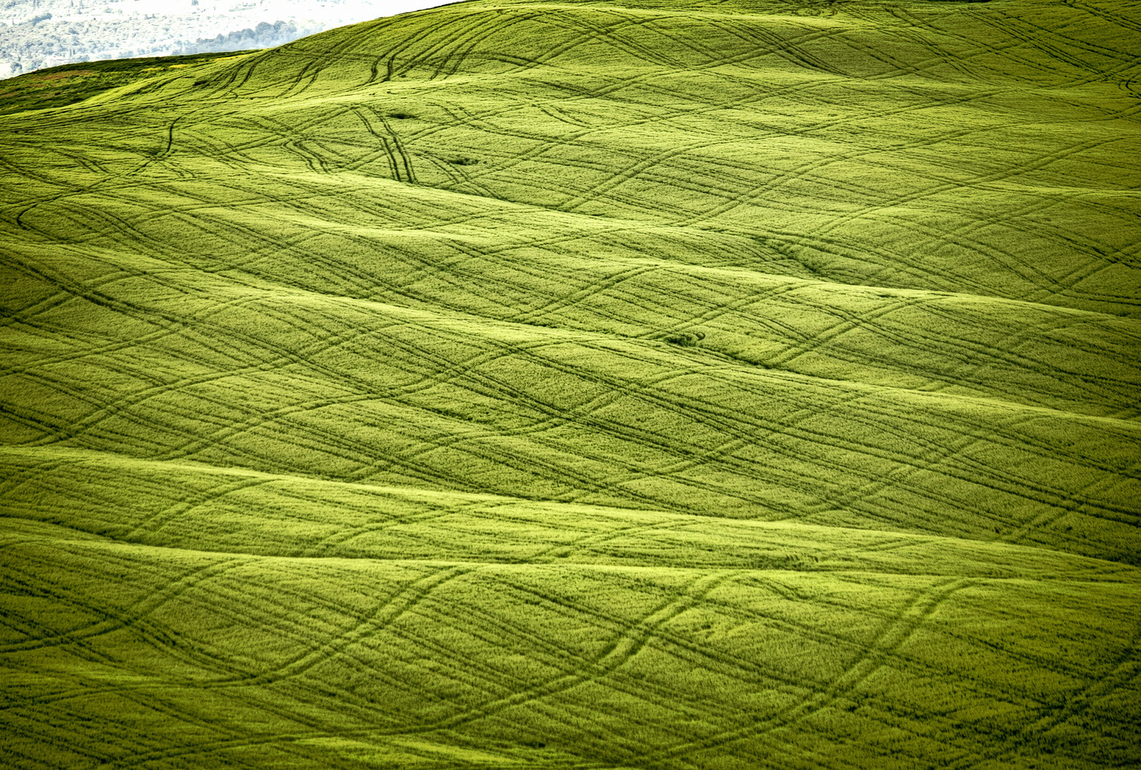 Landwirtschaft intensiv