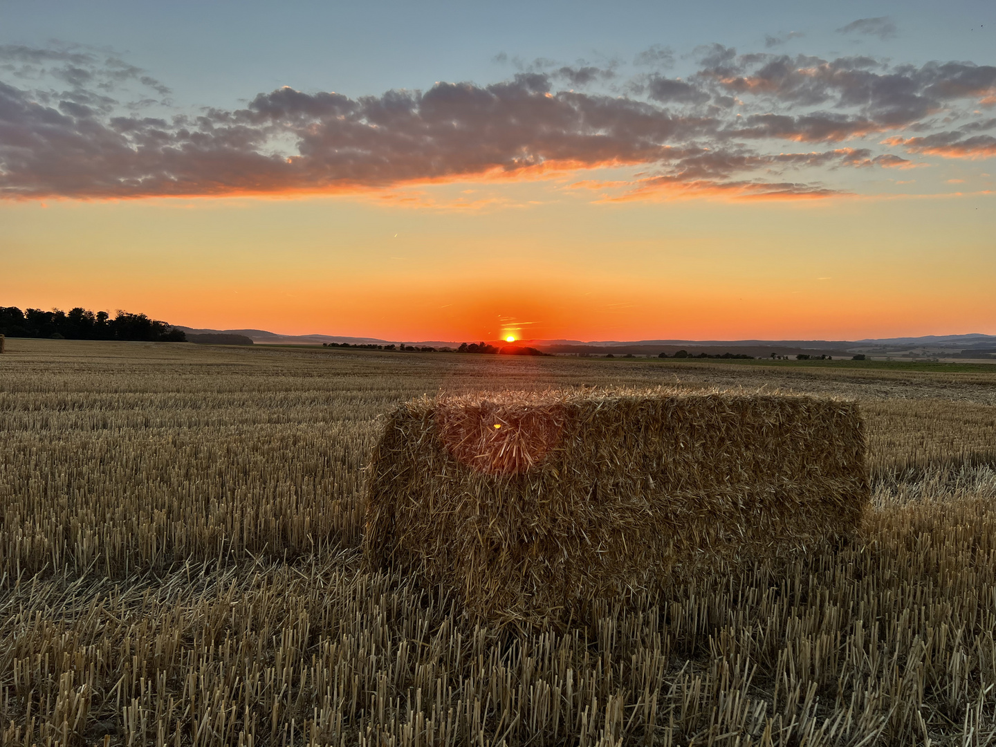 Landwirtschaft ist auch Heimat