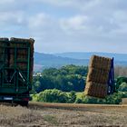 Landwirtschaft ist Leben