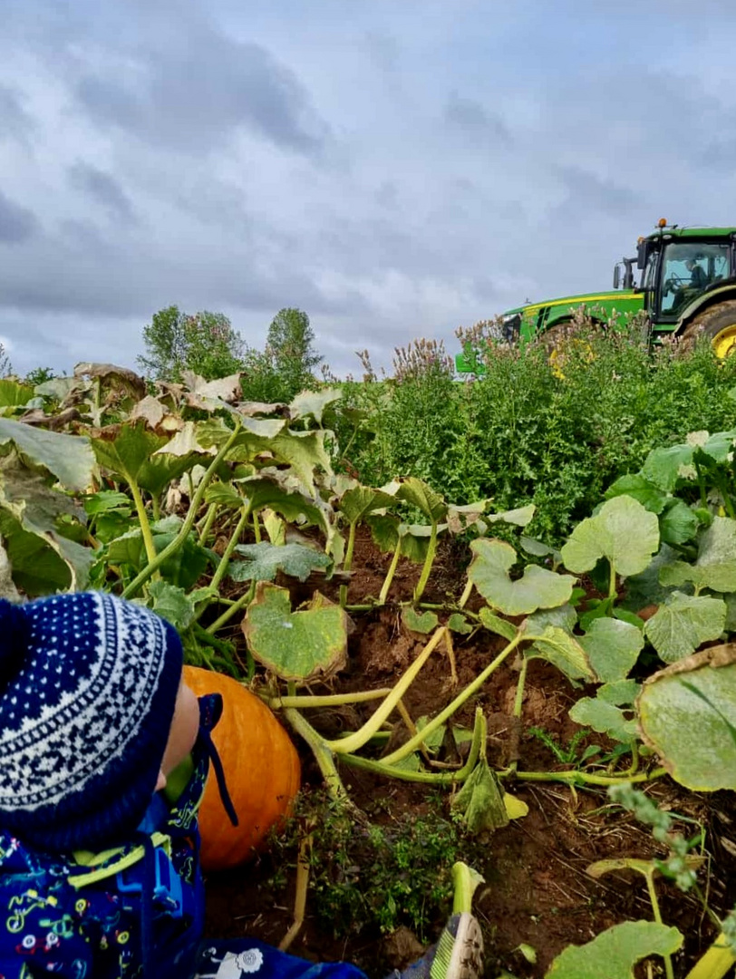 Landwirtschaft ist Leben