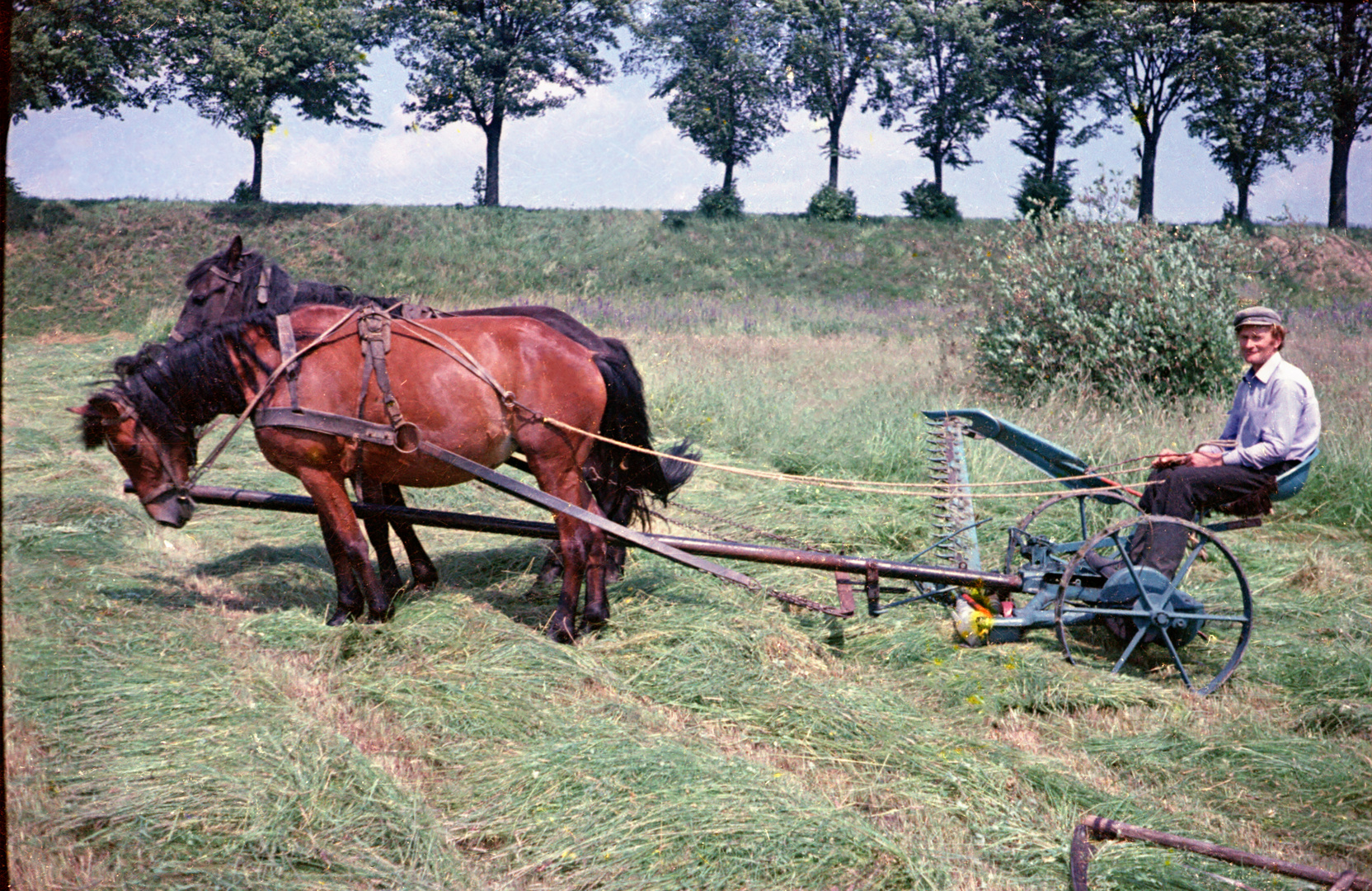 Landwirtschaft Polen 1974