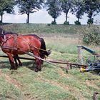 Landwirtschaft Polen 1974