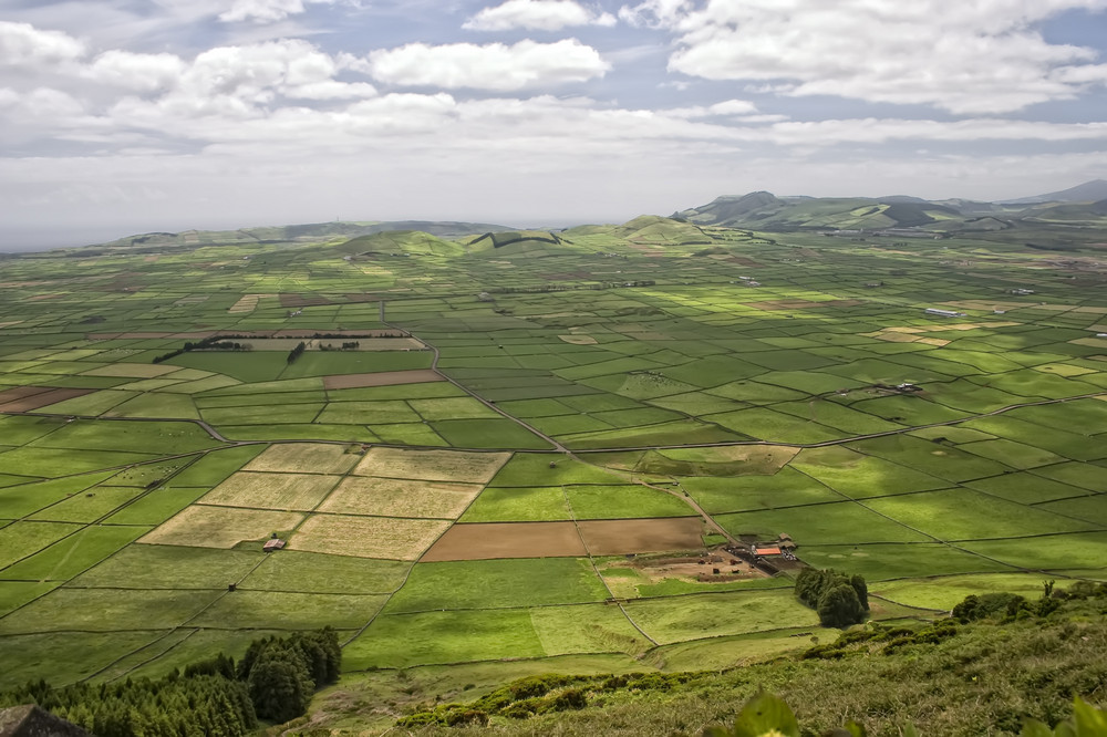 Landwirtschaft Terceira (Azoren)