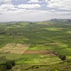 Landwirtschaft Terceira (Azoren)
