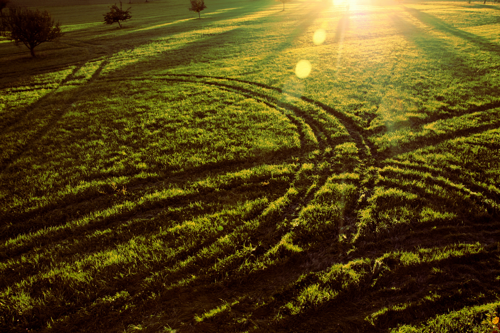 Landwirtschaft trifft Landschaft