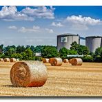 Landwirtschaft und Industrie