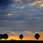 Landwirtschaft wartet auf Regen