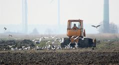 Landwirtschaft wie Straßenbau