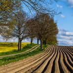 Landwirtschaftliche Linien