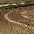 Landwirtschaftliche "Strukturen"