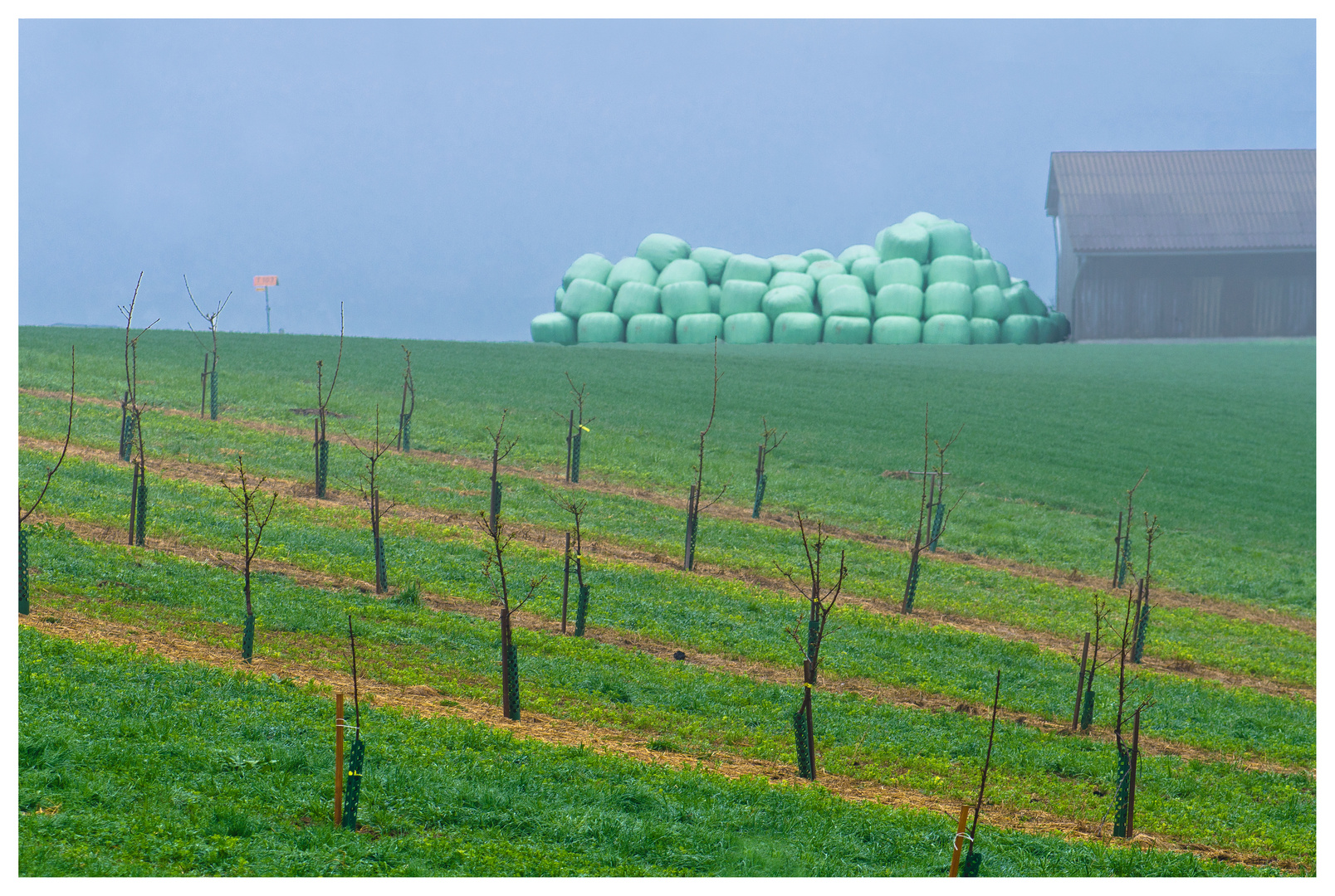 Landwirtschaftliche Verpackungskunst ?