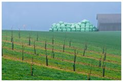 Landwirtschaftliche Verpackungskunst ?