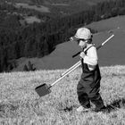 Landwirtschaftlicher Nachwuchs