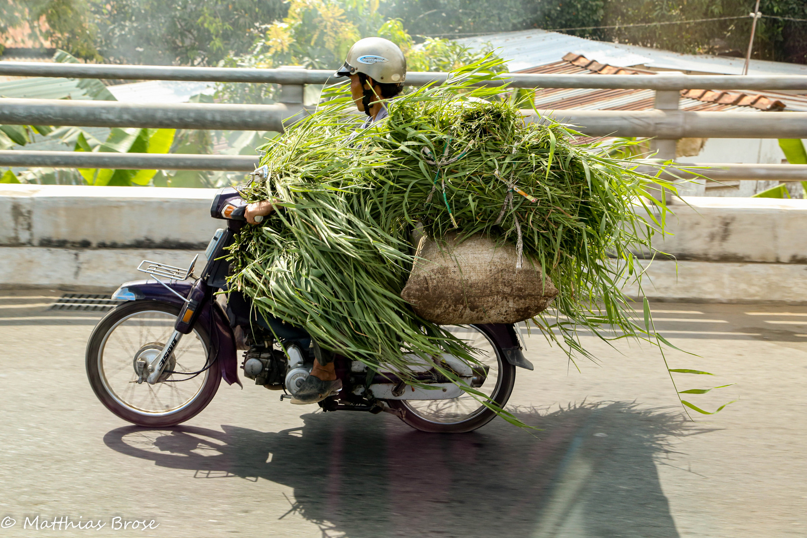 Landwirtschaftlicher Transport