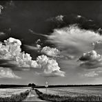 Landwirtschaftlicher Verkehr frei