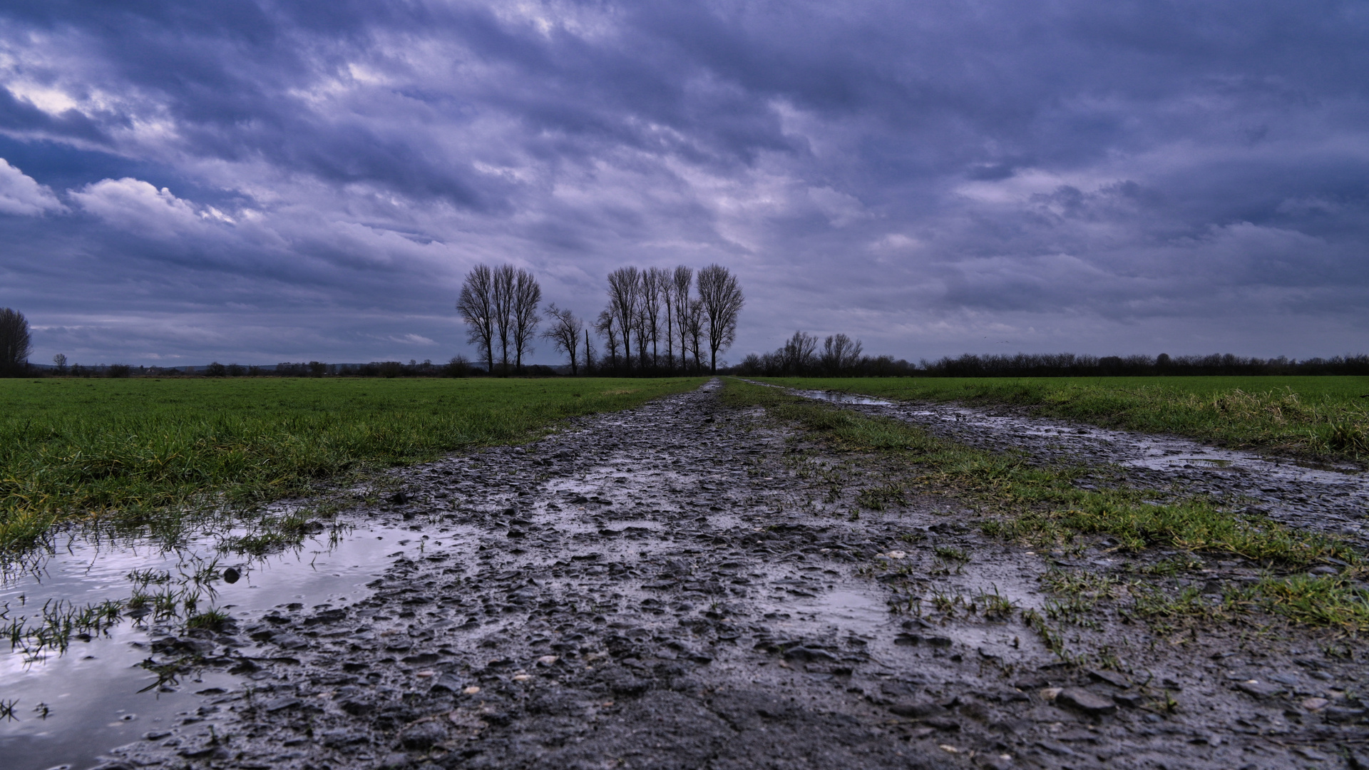 Landwirtschaftlicher Weg