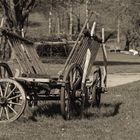 Landwirtschaftliches Stillleben