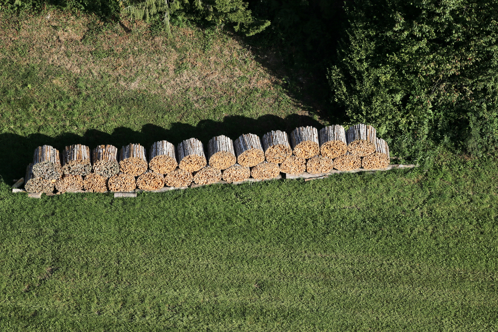 Landwirtschaftskunst