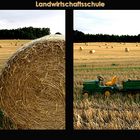 Landwirtschaftsschule