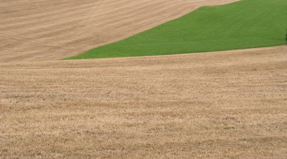 Landwirtschaftsspitzen ..