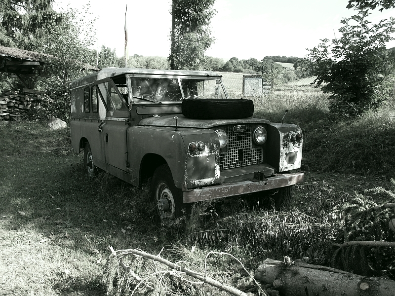 Landy 30